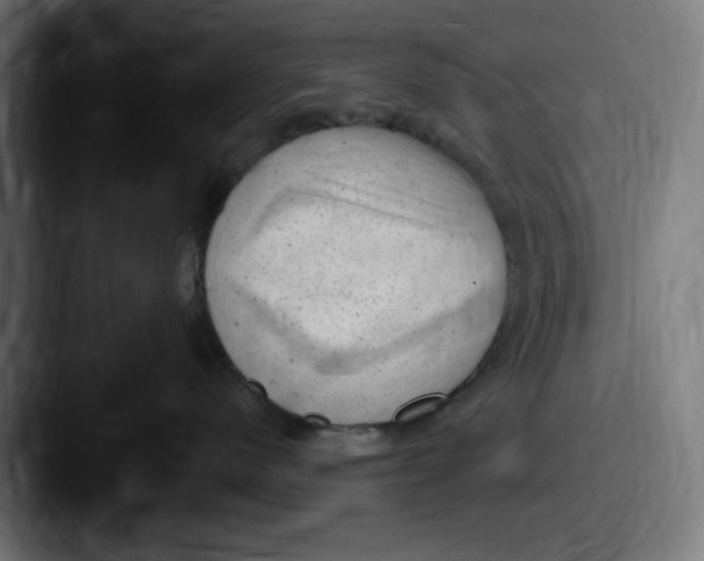 X0000087600480200705181240
