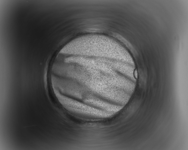 X0000087600482200705181240