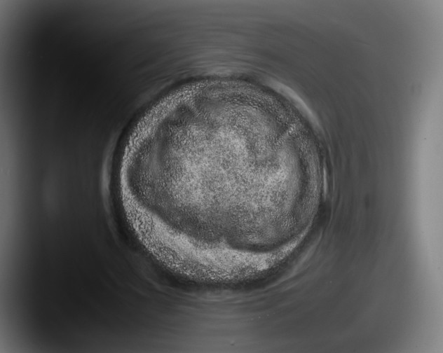 X0000087600483200705181240