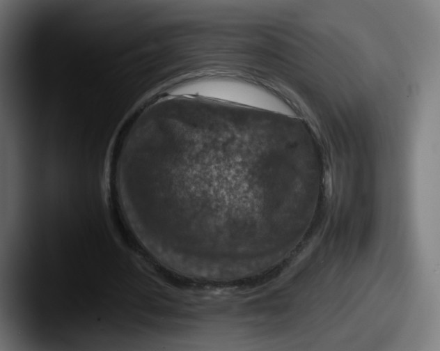 X0000087600484200705181240