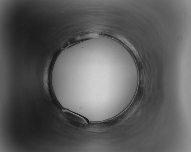 X0000087600485200705181240