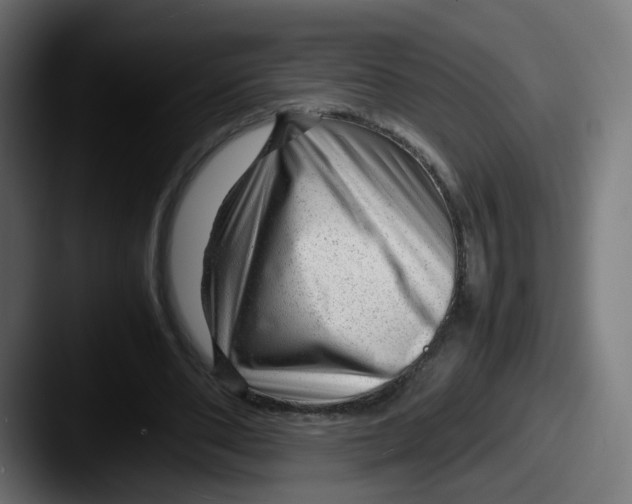 X0000087600486200705181240
