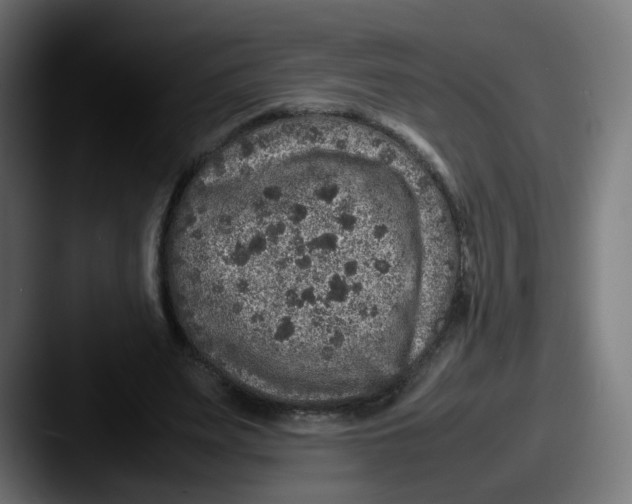X0000087600487200705181240