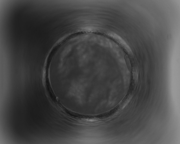 X0000087600488200705181240