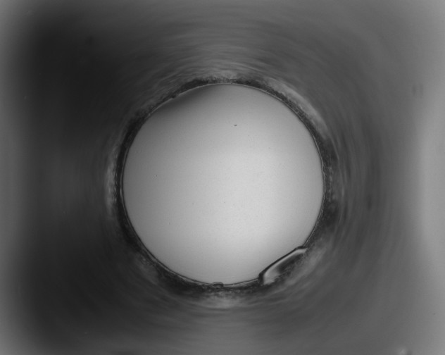 X0000087600489200705181240