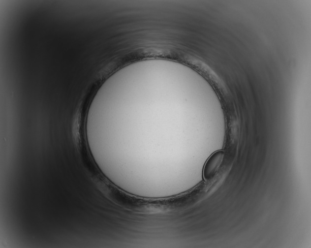 X0000087600490200705181240