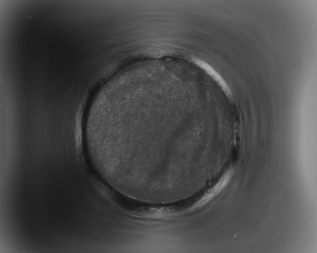 X0000087600493200705181240