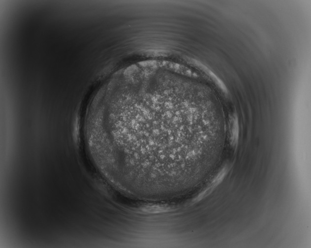 X0000087600494200705181240