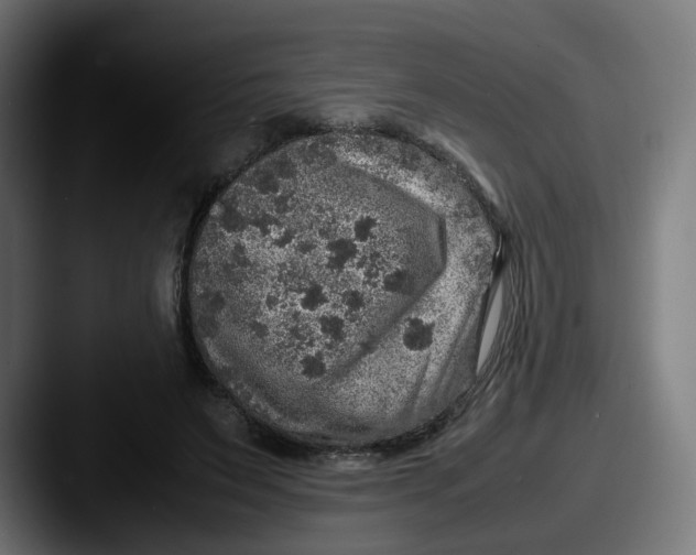 X0000087600495200705181240
