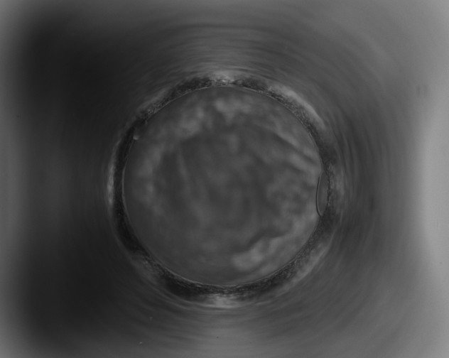 X0000087600496200705181240