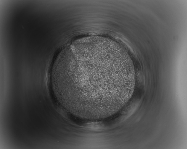 X0000087600499200705181240