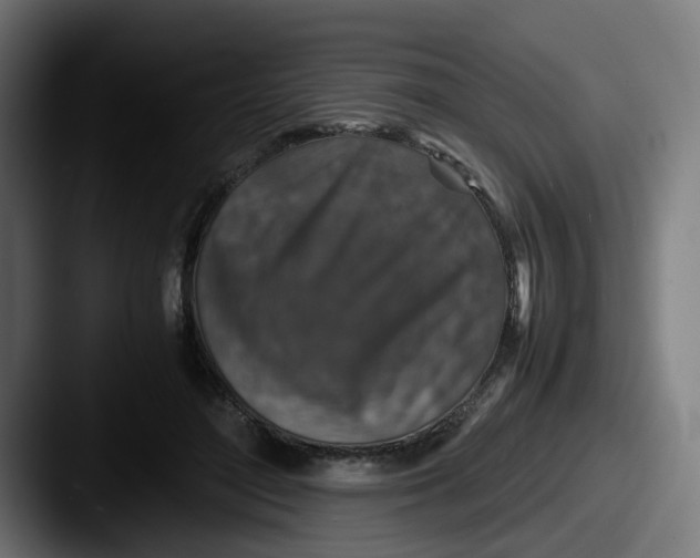 X0000087600500200705181240