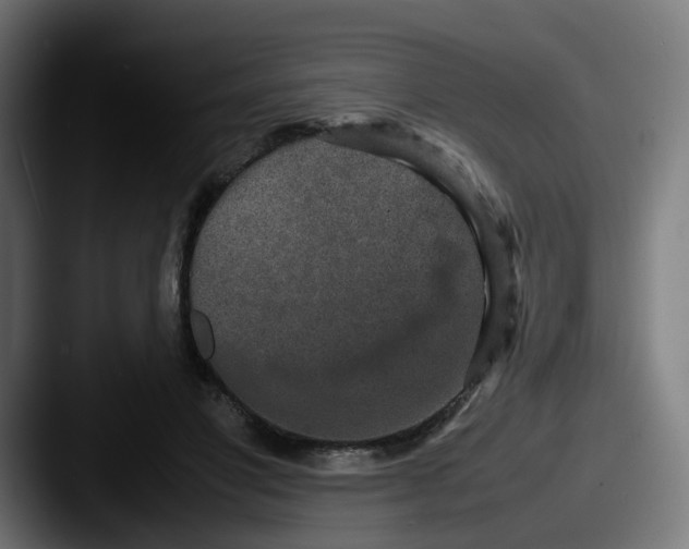 X0000087600501200705181240