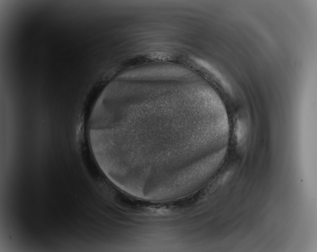 X0000087600502200705181240