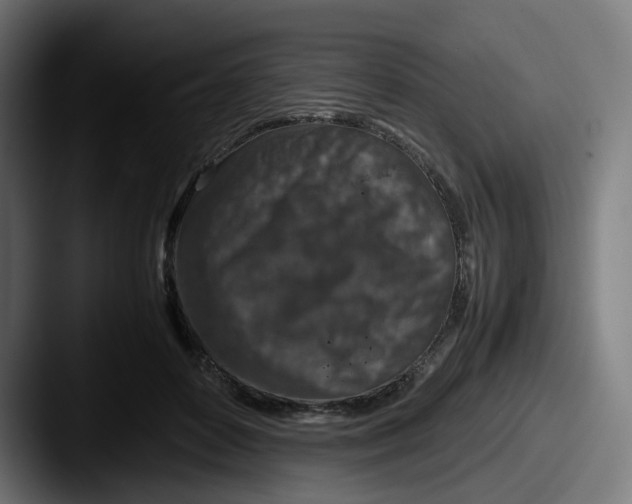 X0000087600504200705181240