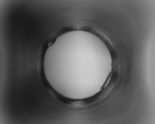 X0000087600505200705181240