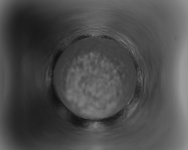 X0000087600507200705181240