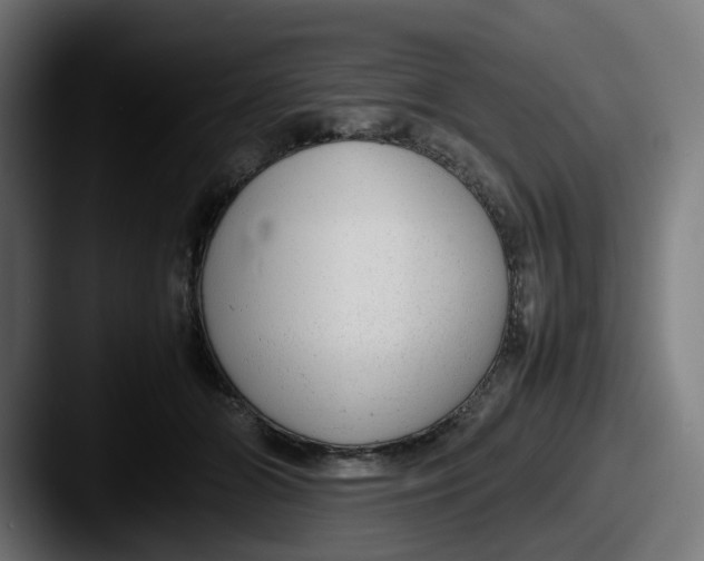 X0000087600510200705181239