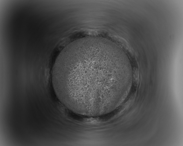 X0000087600511200705181239