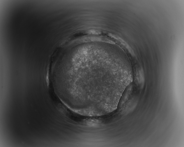 X0000087600512200705181239