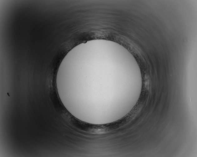 X0000087600514200705181239