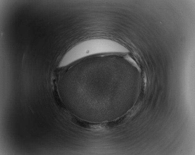 X0000087600516200705181239