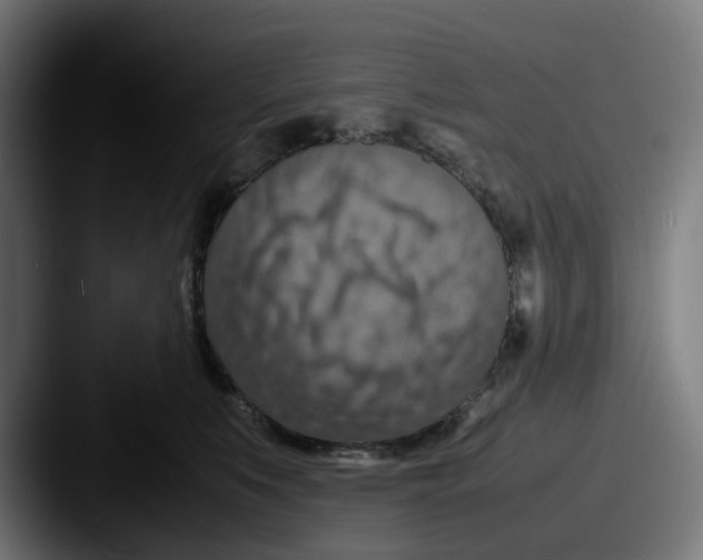 X0000087600519200705181239