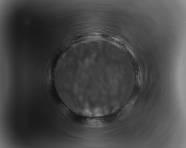 X0000087600520200705181239