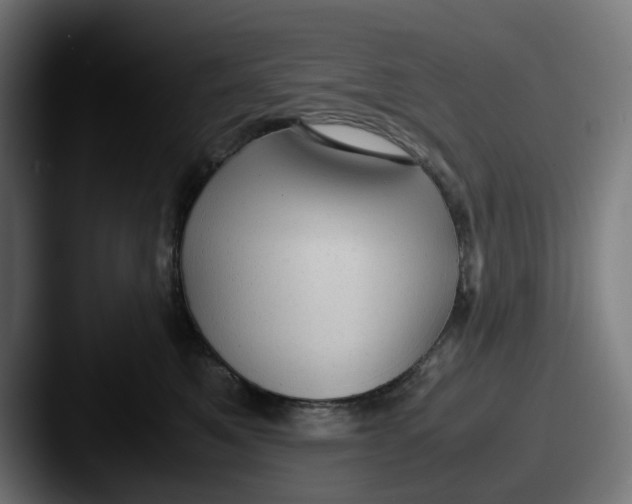 X0000087600521200705181239