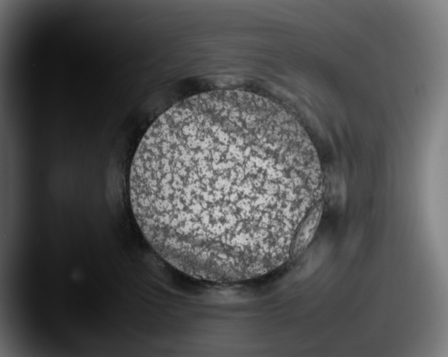 X0000087600523200705181239