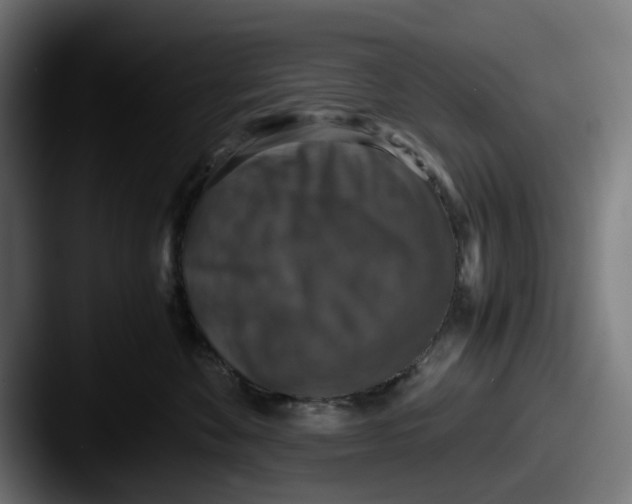 X0000087600524200705181239
