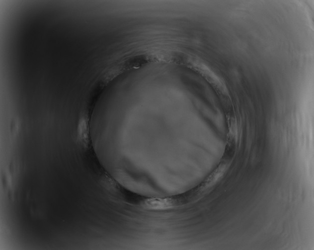 X0000087600526200705181239