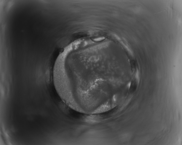 X0000087600527200705181239