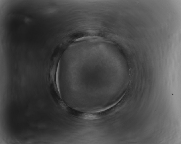 X0000087600528200705181239