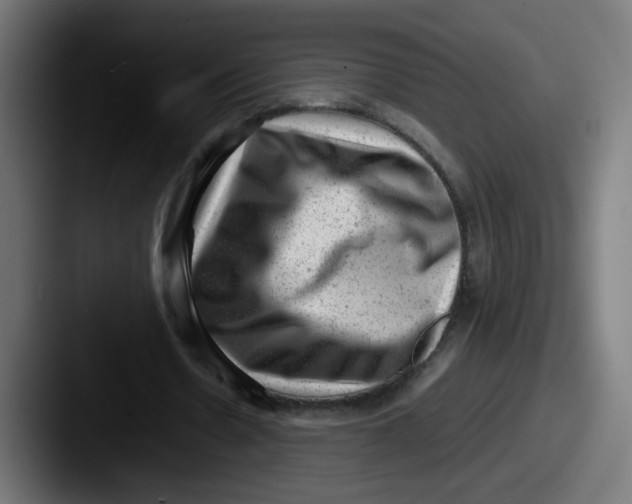 X0000087600530200705181239