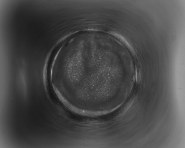 X0000087600531200705181239