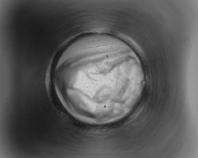 X0000087600532200705181239