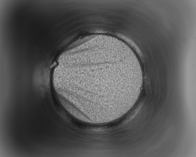 X0000087600533200705181239