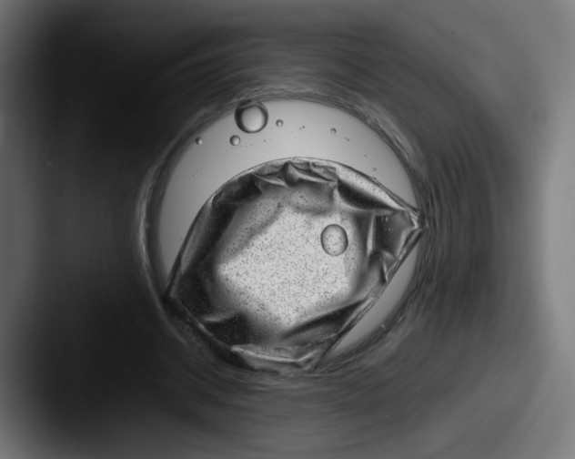 X0000087600534200705181239