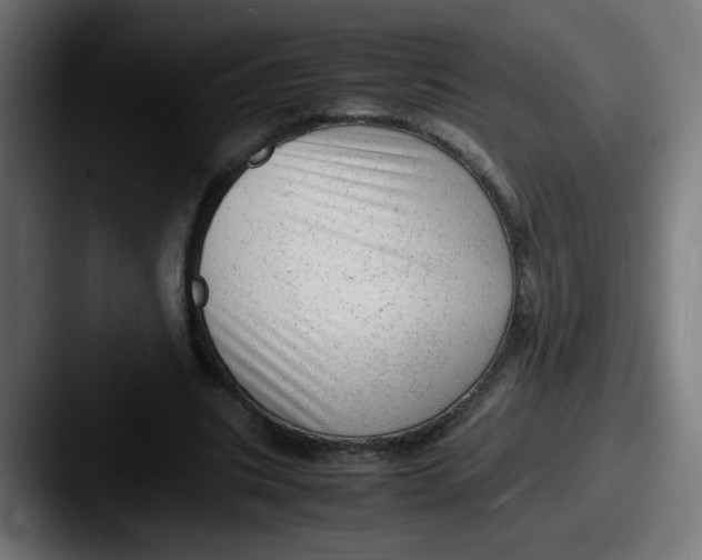 X0000087600535200705181239