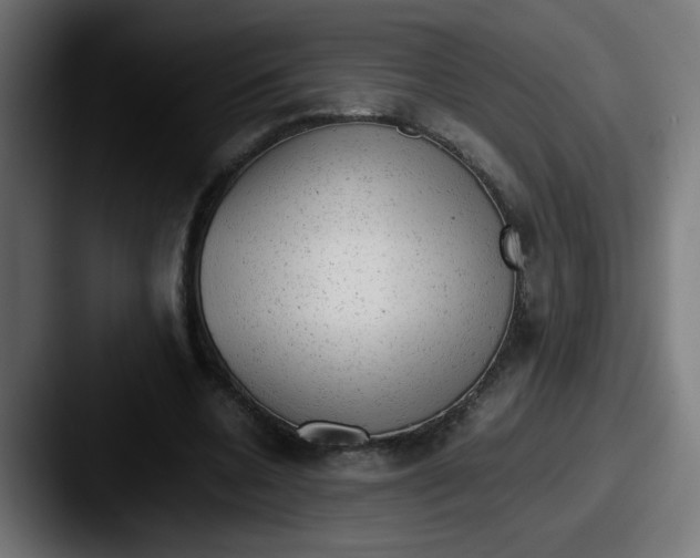 X0000087600536200705181239