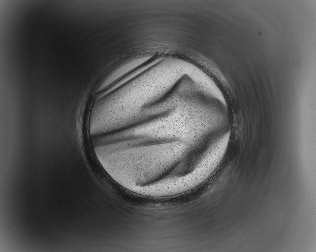 X0000087600538200705181239