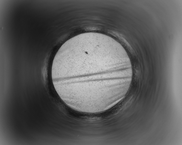 X0000087600539200705181239