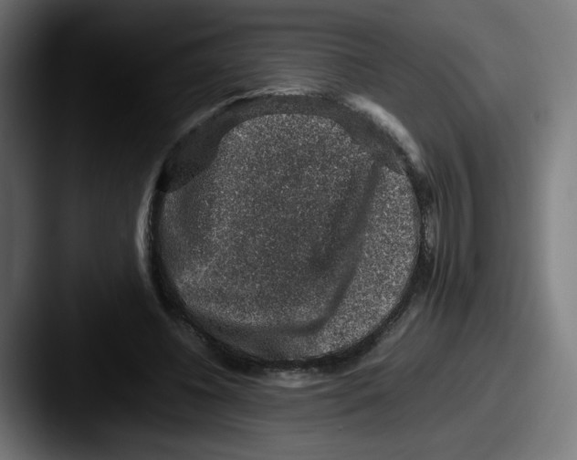 X0000087600540200705181239