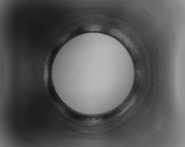 X0000087600541200705181239