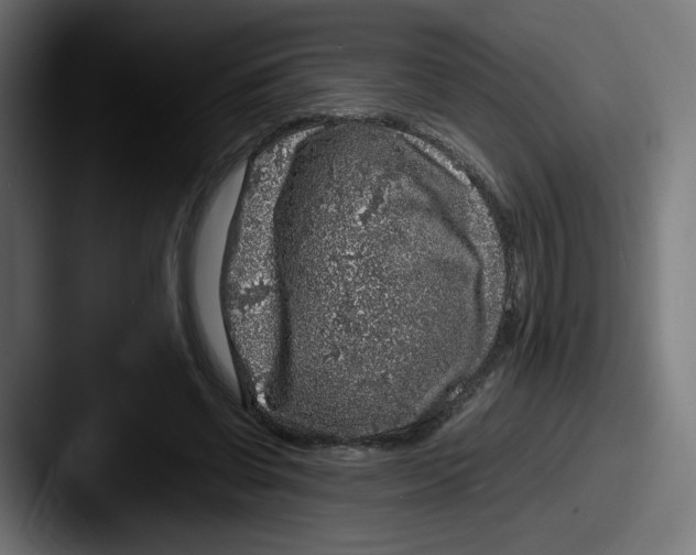 X0000087600542200705181239