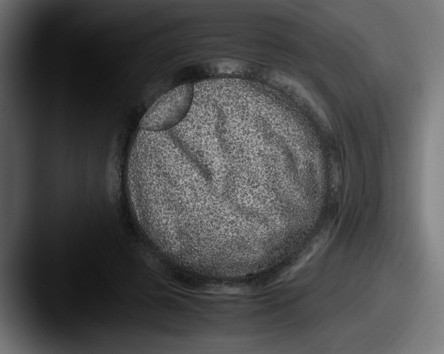 X0000087600545200705181239