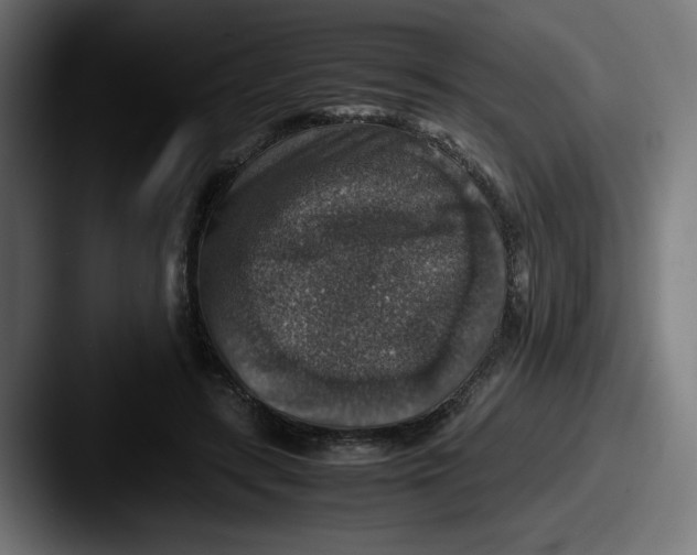 X0000087600547200705181239