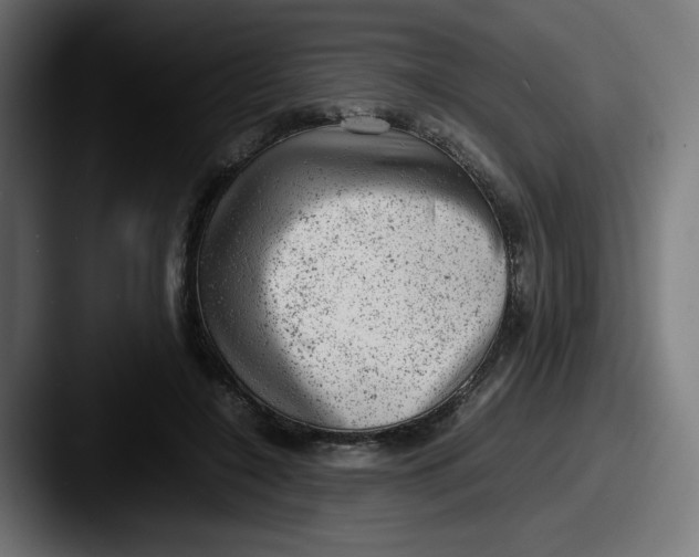 X0000087600548200705181239