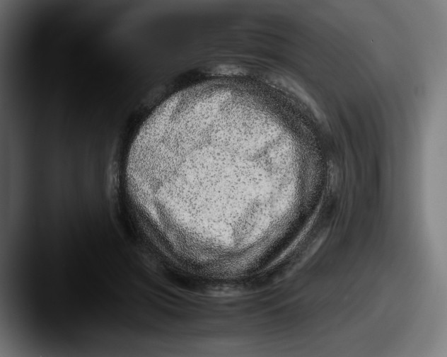 X0000087600549200705181239